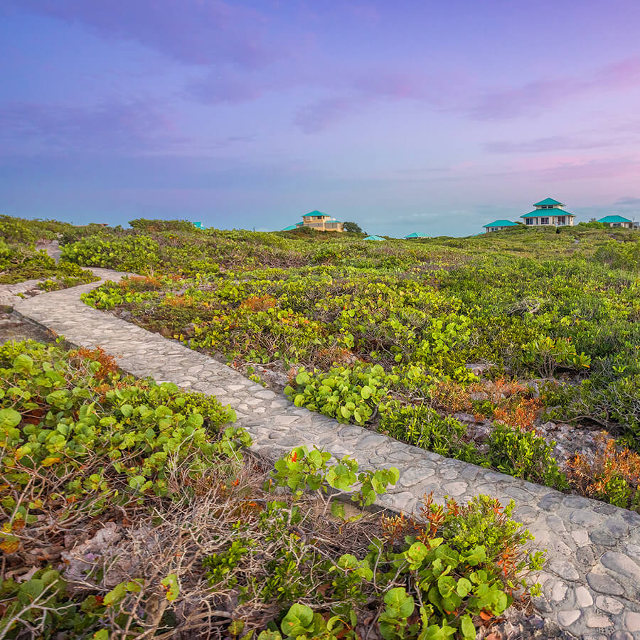 Middle Caicos